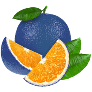 Blue Orange